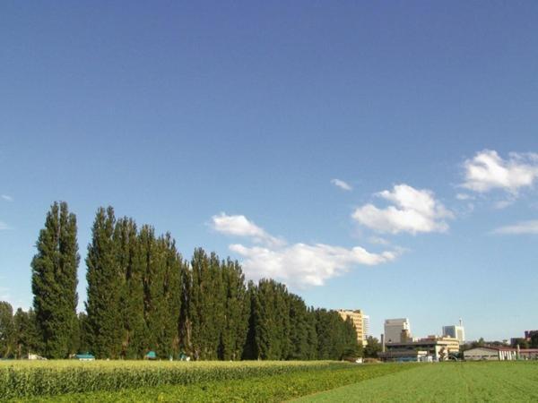 Sapporo Clark Hotel Bagian luar foto